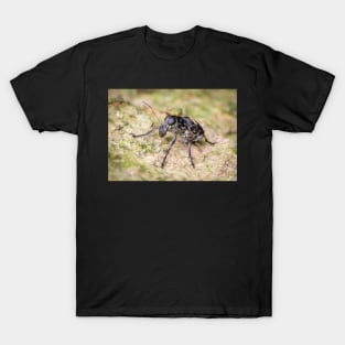 A fungus weevil (Anthribidae) T-Shirt